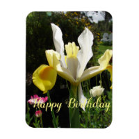 Yellow Iris Flower Floral Birthday Irises
