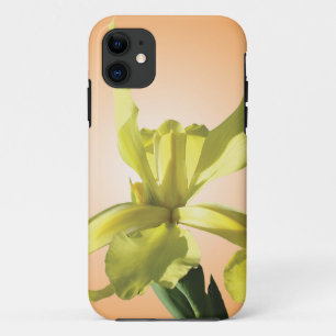 yellow iris flower in yellow background. Case-Mate iPhone case