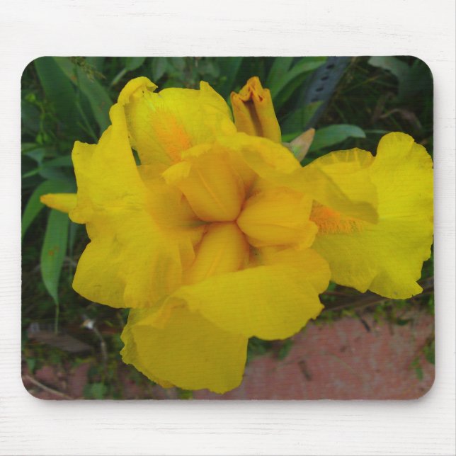 Yellow Iris Flower Mousepad (Front)