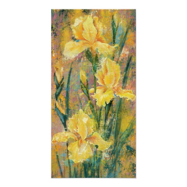 Yellow Iris Flowers Poster (Front)