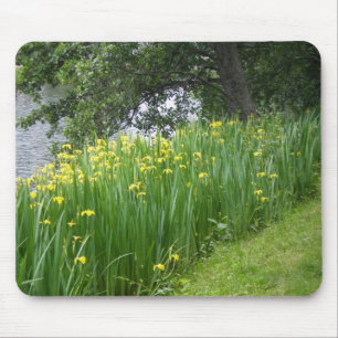 Yellow Iris Mousepad