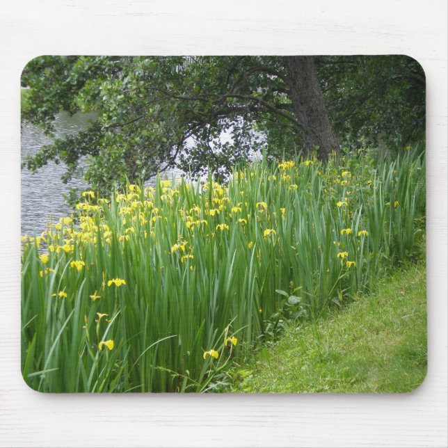 Yellow Iris Mousepad (Front)