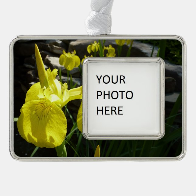 Yellow Irises Bright Spring Floral Silver Plated Framed Ornament (Front)