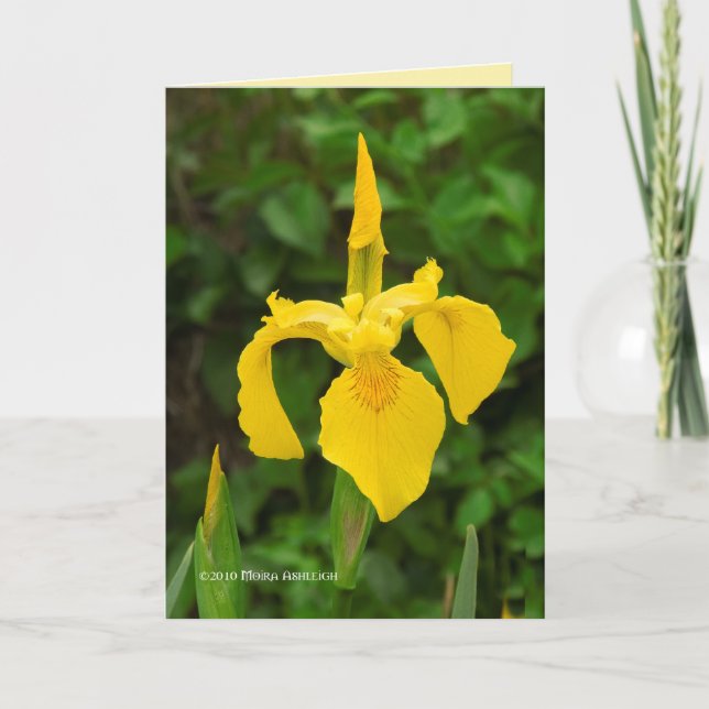 Yellow Irises Card (Front)
