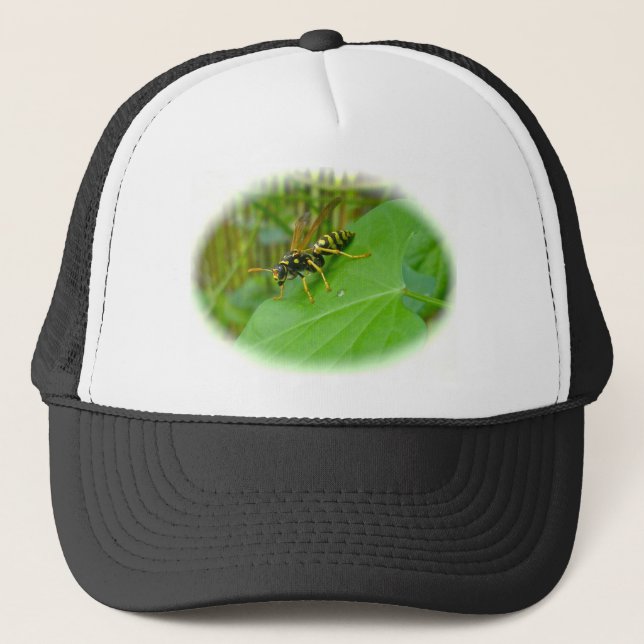 Yellow Jacket Hat (Front)