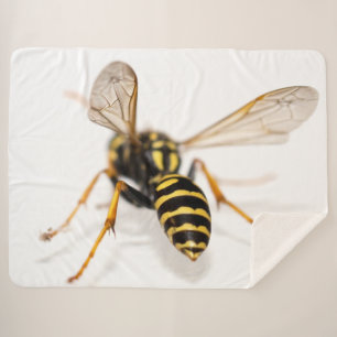 YELLOW JACKET SHERPA BLANKET