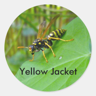 Yellow Jacket Stickers