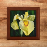 Yellow Japanese Iris Floral Gift Box<br><div class="desc">Store trinkets,  jewellery and other small keepsakes in this wooden gift box with ceramic tile that features the photo image of a yellow Japanese Iris bloom. A lovely,  floral design! Select your gift box size and colour.</div>