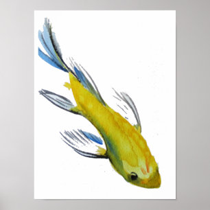 Yellow Japanese Koi watercolour Poster