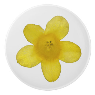 Yellow Jasmine Ceramic Knob
