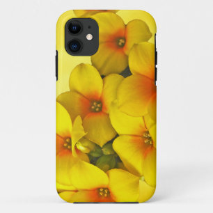 Yellow Kalanchoe - Succulent Sunshine iPhone 11 Case