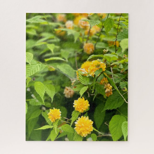 Yellow Kerria, Seoul Jigsaw Puzzle (Vertical)