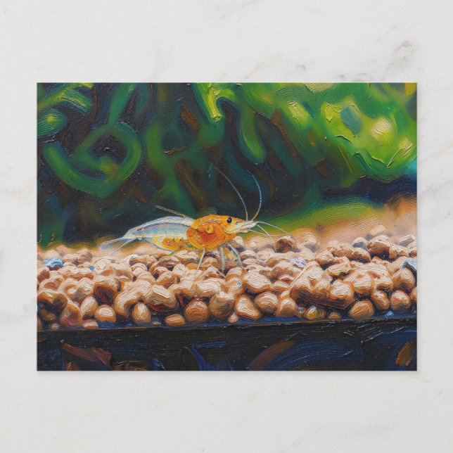 Yellow King Kong shrimp  Postcard (Front)