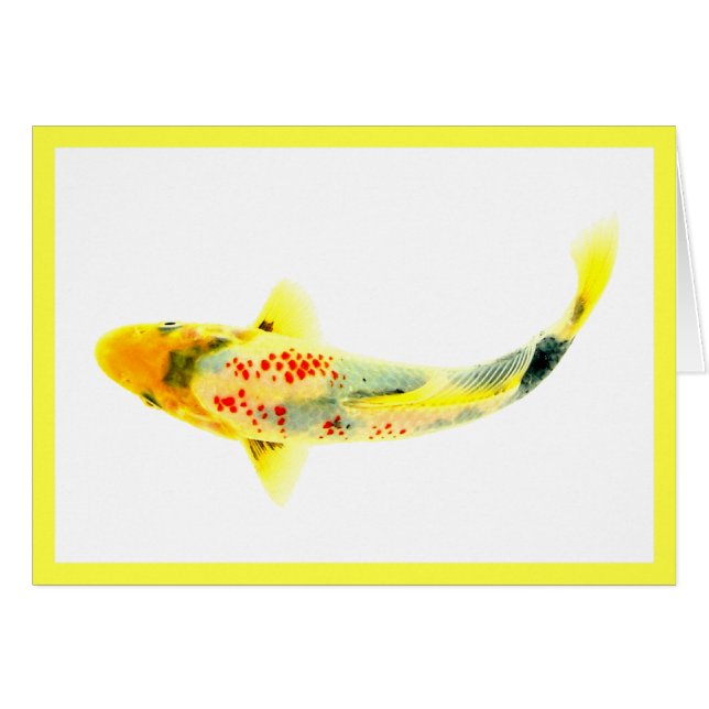 Yellow Koi (Front Horizontal)