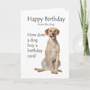 Yellow Lab Birthday Card