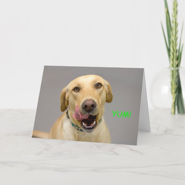 Yellow Lab Birthday Card by Focus for a Cause (Front)