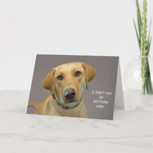 Yellow Lab Birthday Card by Focus for a Cause