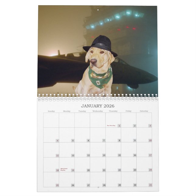 Yellow Lab Calendar - 2013 (Jan 2026)