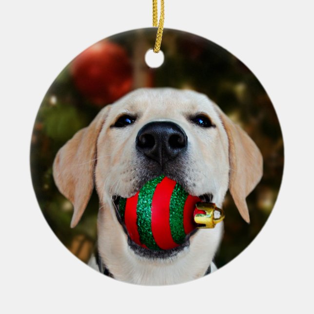 Yellow lab Christmas ball Ceramic Tree Decoration (Front)