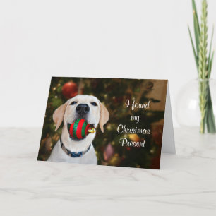 Yellow lab Christmas ball Holiday Card