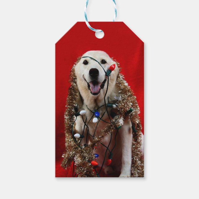 Yellow lab Christmas Gift Tags (Front)