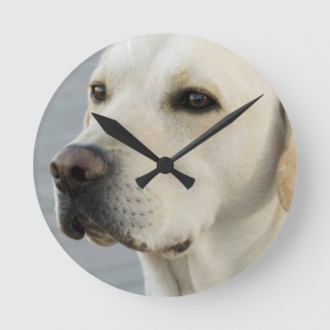 Yellow Lab Clock (Front)