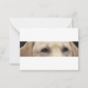 yellow lab eyes card