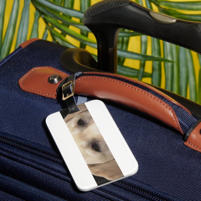 yellow lab eyes luggage tag (Front Insitu 1)