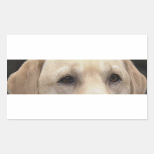 yellow lab eyes rectangular sticker (Front)