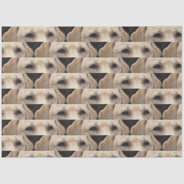 yellow lab eyes tissue paper (Front)