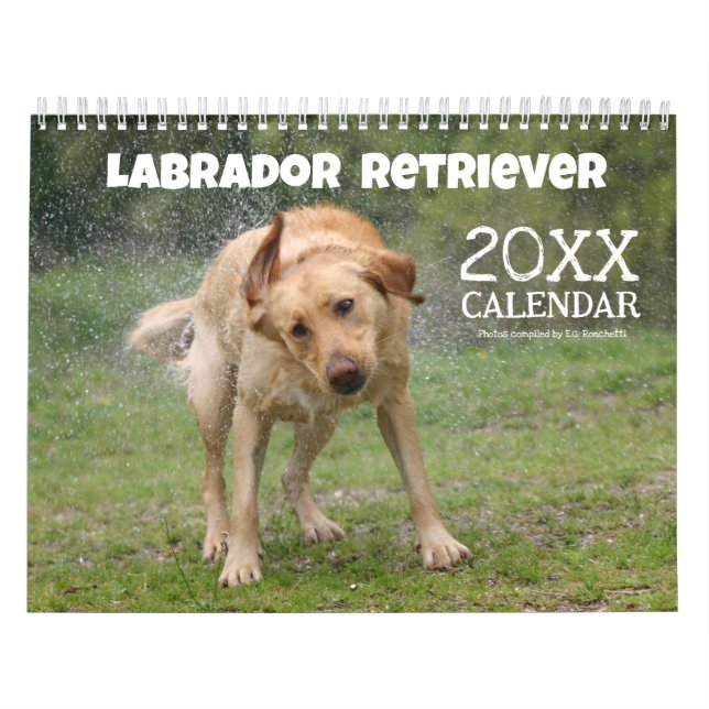 Yellow Lab Labrador Retriever Cute Dog Calendar (Cover)