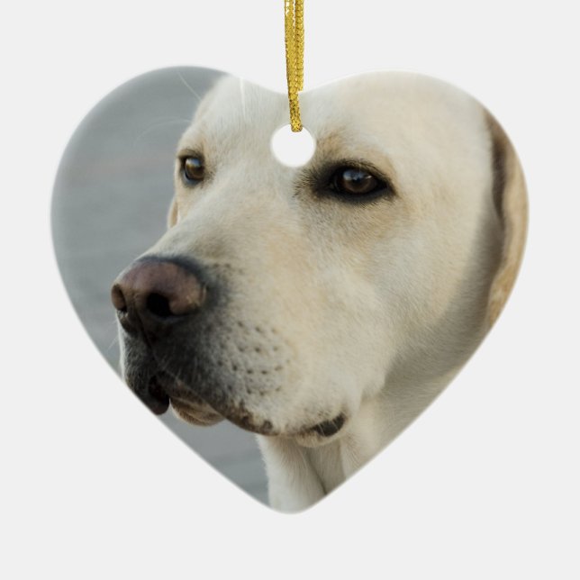 Yellow Lab  Ornament (Front)