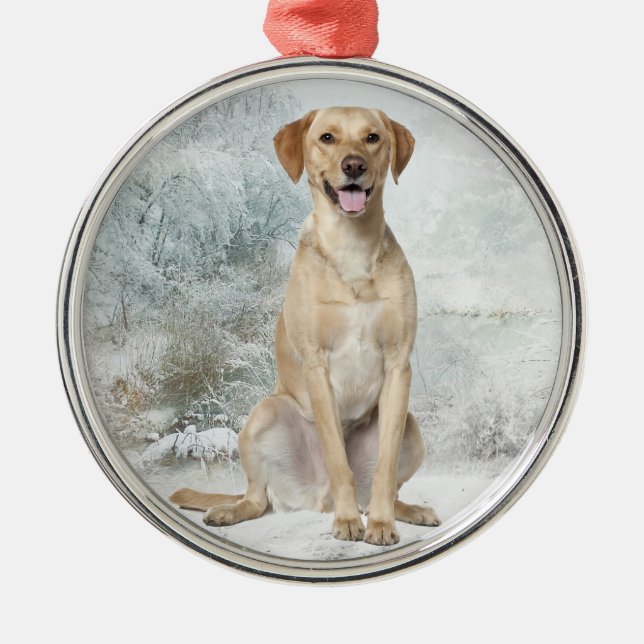 Yellow Lab Ornament (Front)