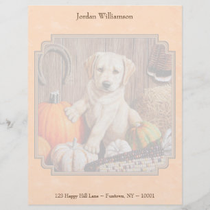 Yellow Lab Pup and Pumpkin Harvest Orange Customized Letterhead