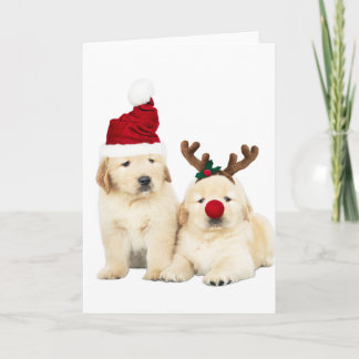 YELLOW LAB PUPPIES CHRISTMAS CARD