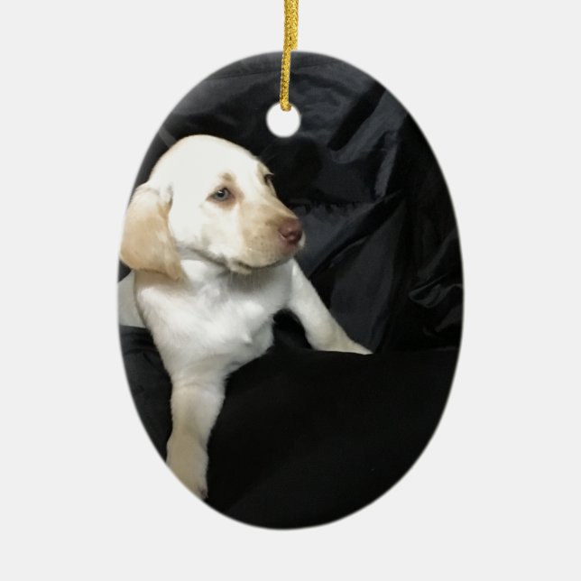 Yellow lab puppy Sadie Ceramic Tree Decoration (Front)