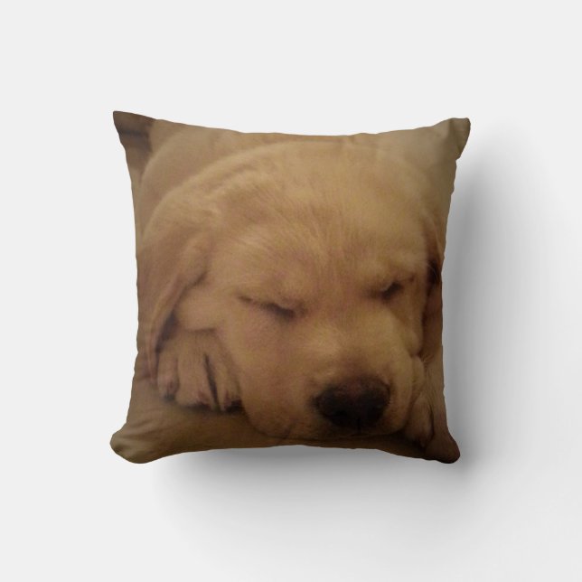 Yellow Lab Puppy Sleeping Cushion (Front)