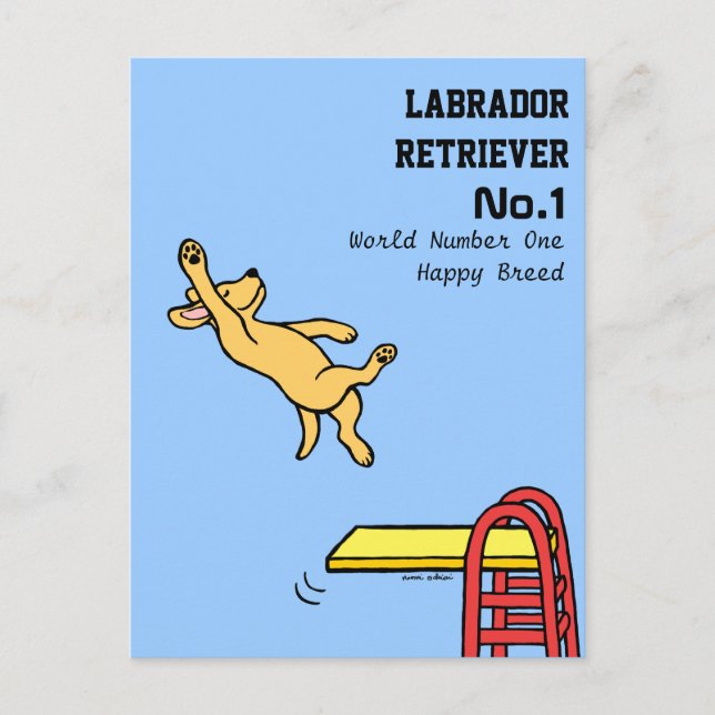 Yellow Labrador Diving Cartoon Postcard (Front)