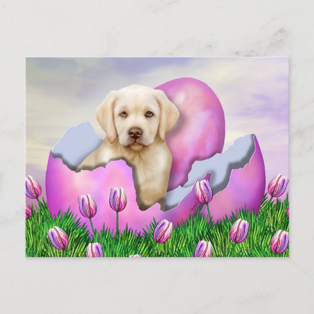 Yellow Labrador Easter Surprise Holiday Postcard (Front)