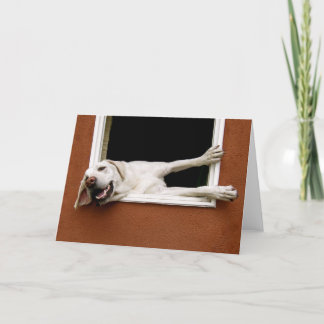 Yellow Labrador Greeting Card