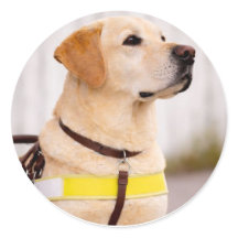 Yellow Labrador Guide Dog Graduation Envelope Seal