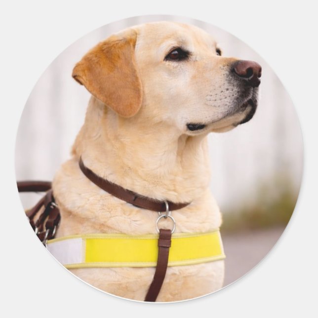 Yellow Labrador Guide Dog Graduation Envelope Seal (Front)