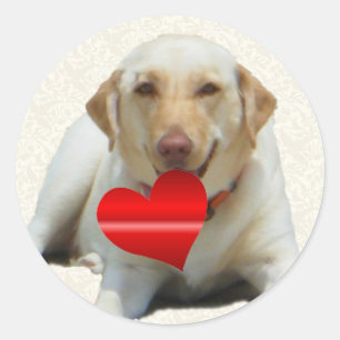 Yellow Labrador Heart Stickers