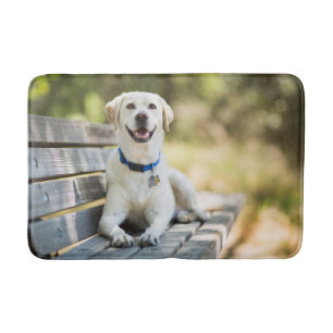 Yellow Labrador Lays On Bench Bath Mat