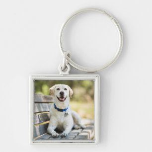 Yellow Labrador Lays On Bench Key Ring