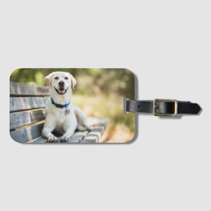 Yellow Labrador Lays On Bench Luggage Tag