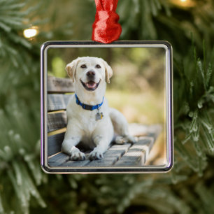 Yellow Labrador Lays On Bench Metal Tree Decoration