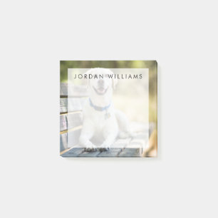 Yellow Labrador Lays On Bench Post-it Notes