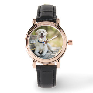 Yellow Labrador Lays On Bench Watch