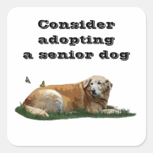Yellow Labrador Mixed Breed Dog Adoption Stickers